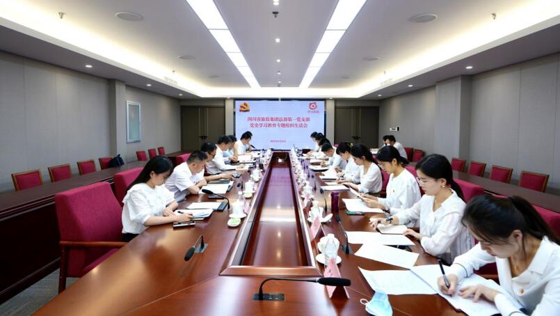 尊龙凯时集团党委书记、董事长任丁参加总部第一党支部党史学习教育专题组织生活会