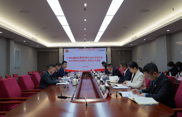 尊龙凯时集团党委书记、董事长任丁出席安逸酒店集团2022年度党员领导干部民主生活会